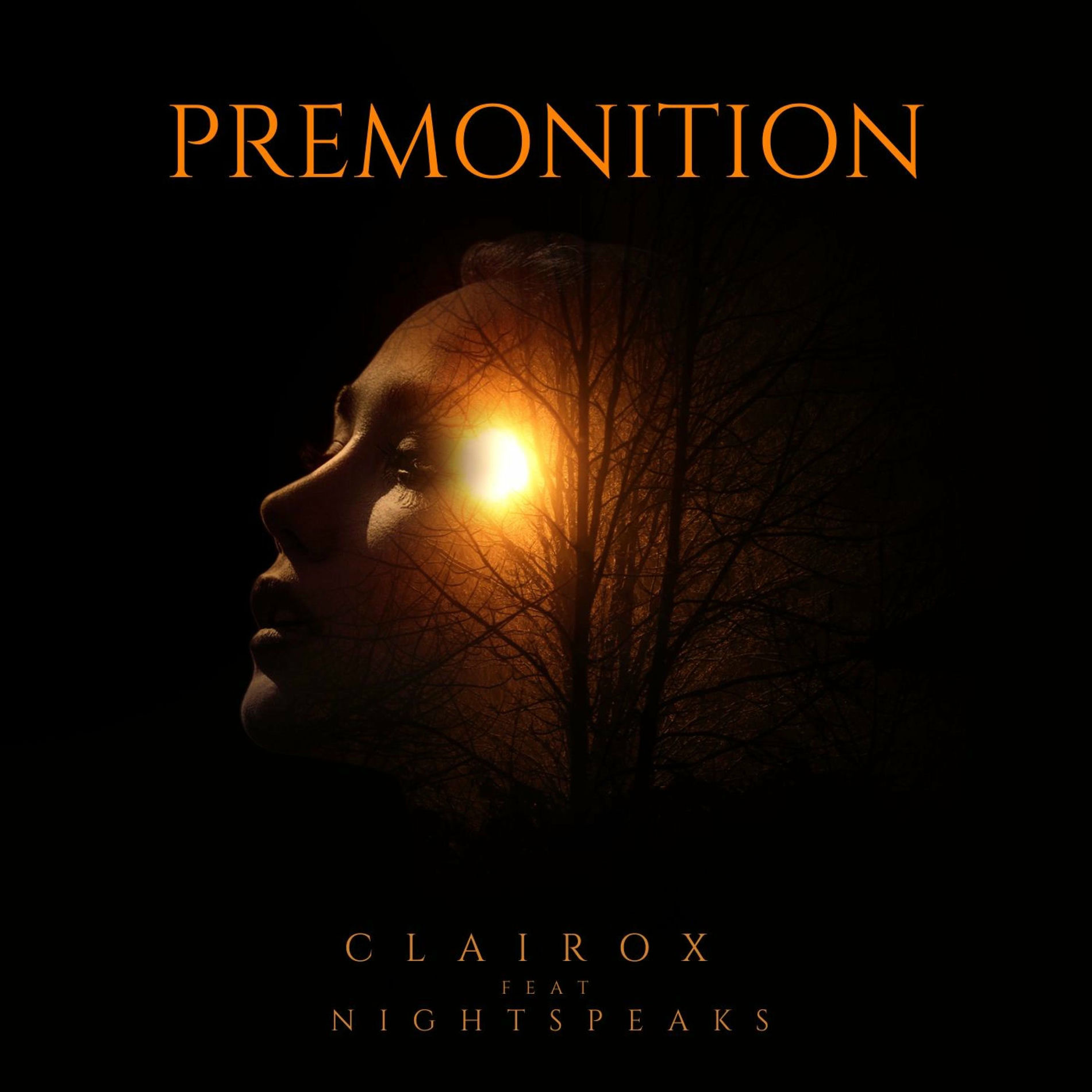 Album cover of Premonition (feat. NightSpeaks)