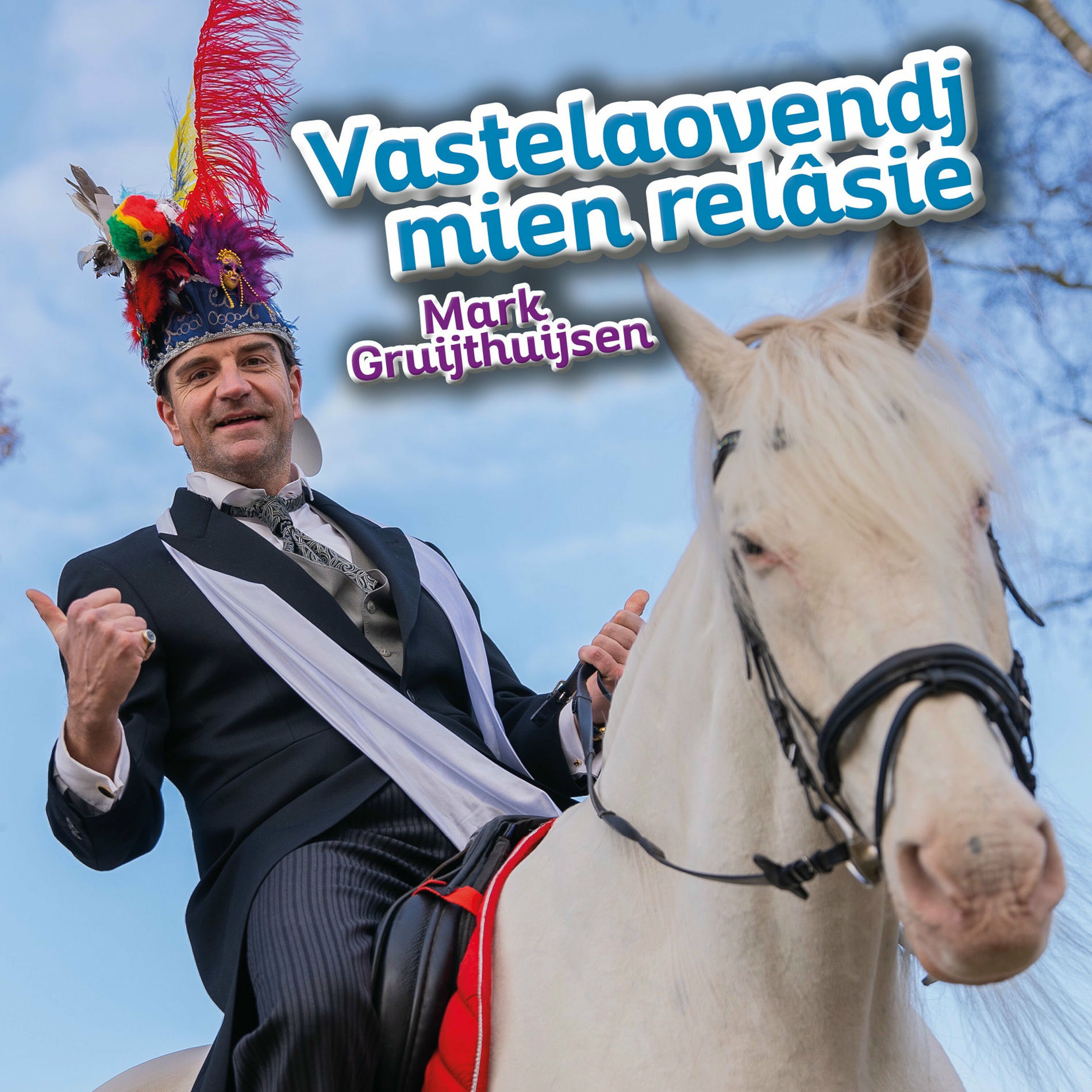 Album cover of Vastelaovendj mien relâsie
