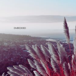 Cover of Embedded