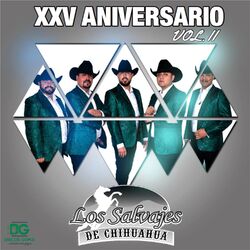 Cover of 25 Aniversario Vol.2