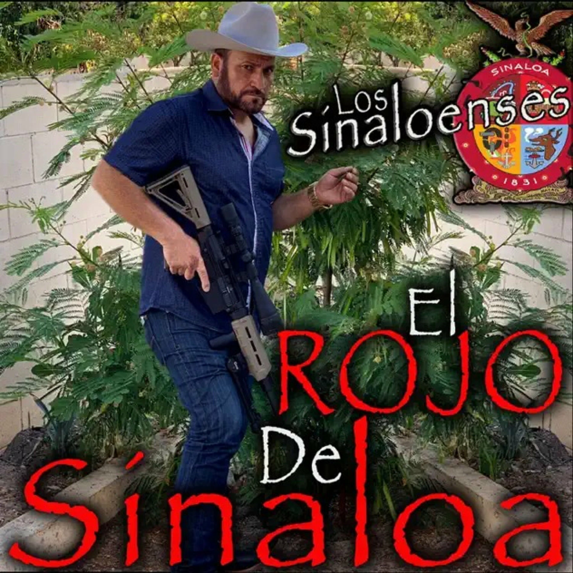 Album cover of Los Sinaloenses