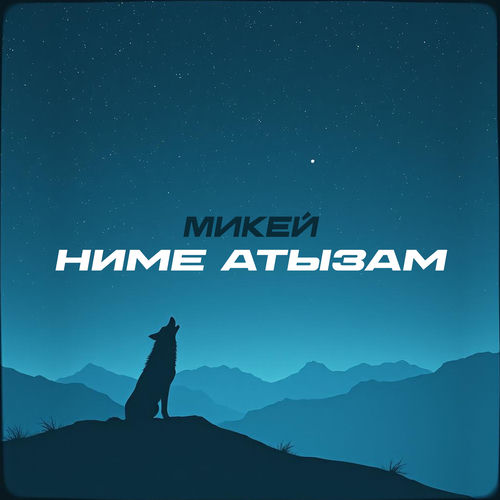 Ниме Атызам