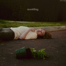 Cover of Stumbling