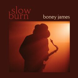 Cover of Slow Burn