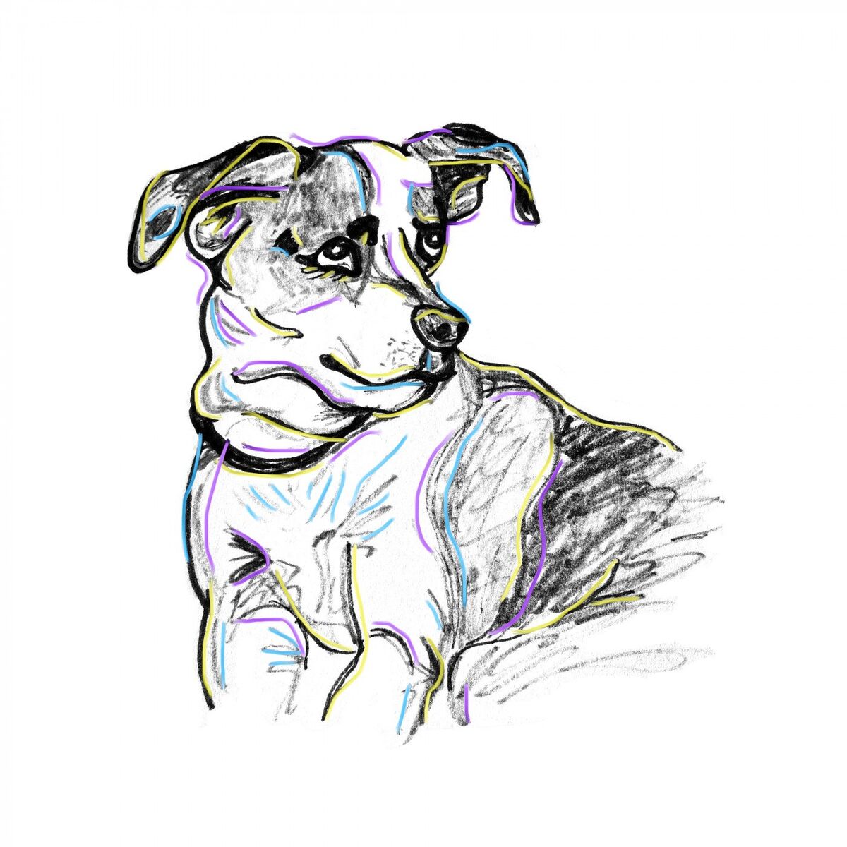 Album cover of Puppy