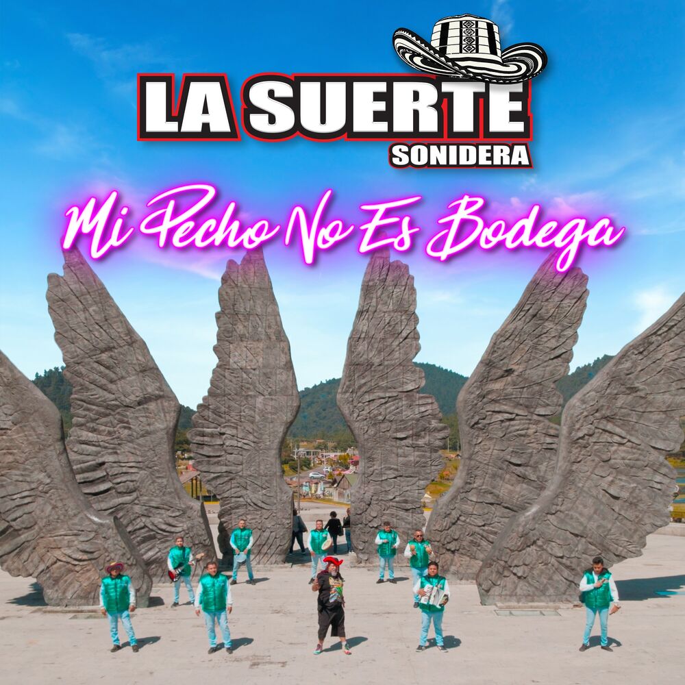 Picture of Mi Pecho No Es Bodega