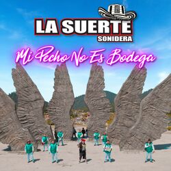Cover of Mi Pecho No Es Bodega