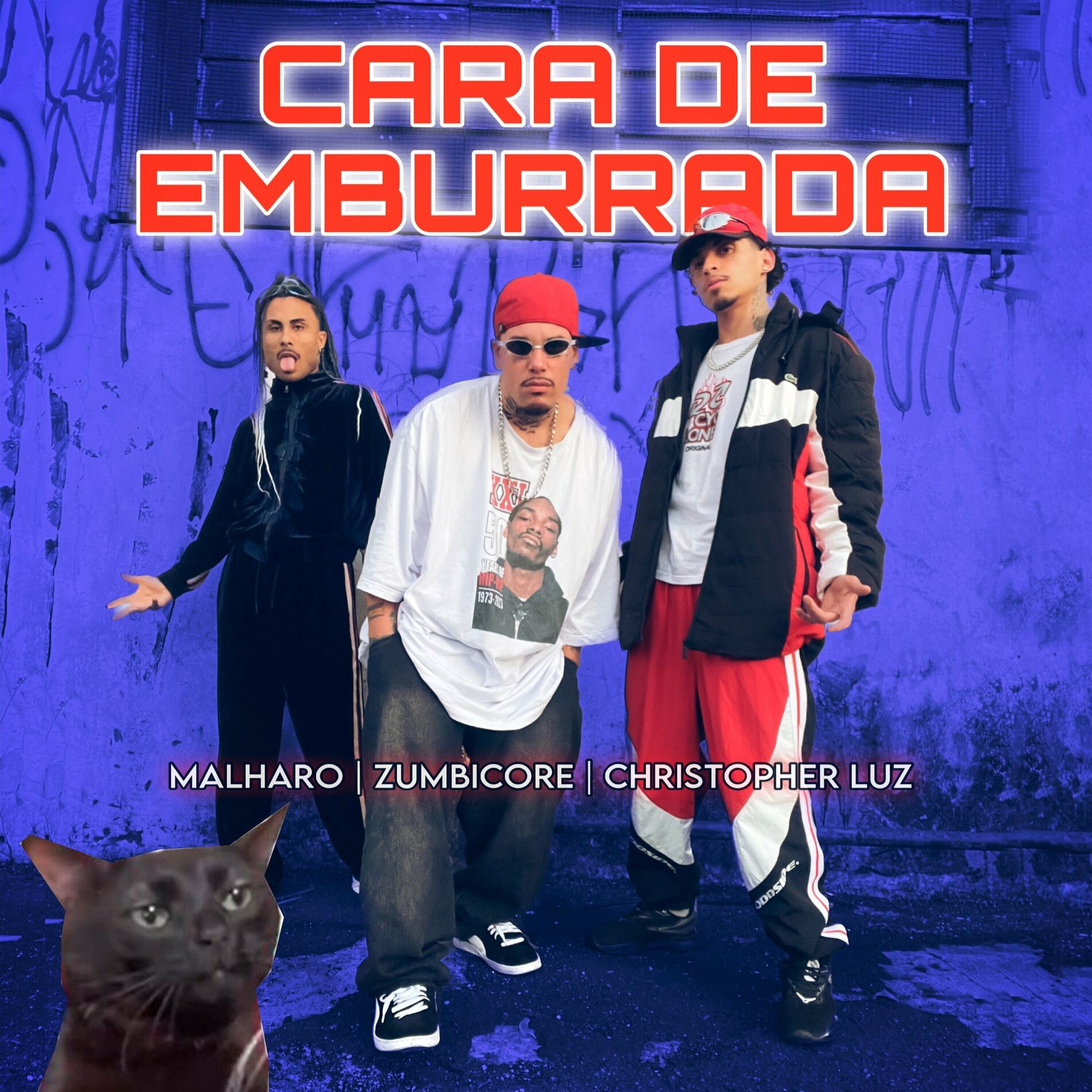 Album cover of CARA DE EMBURRADA