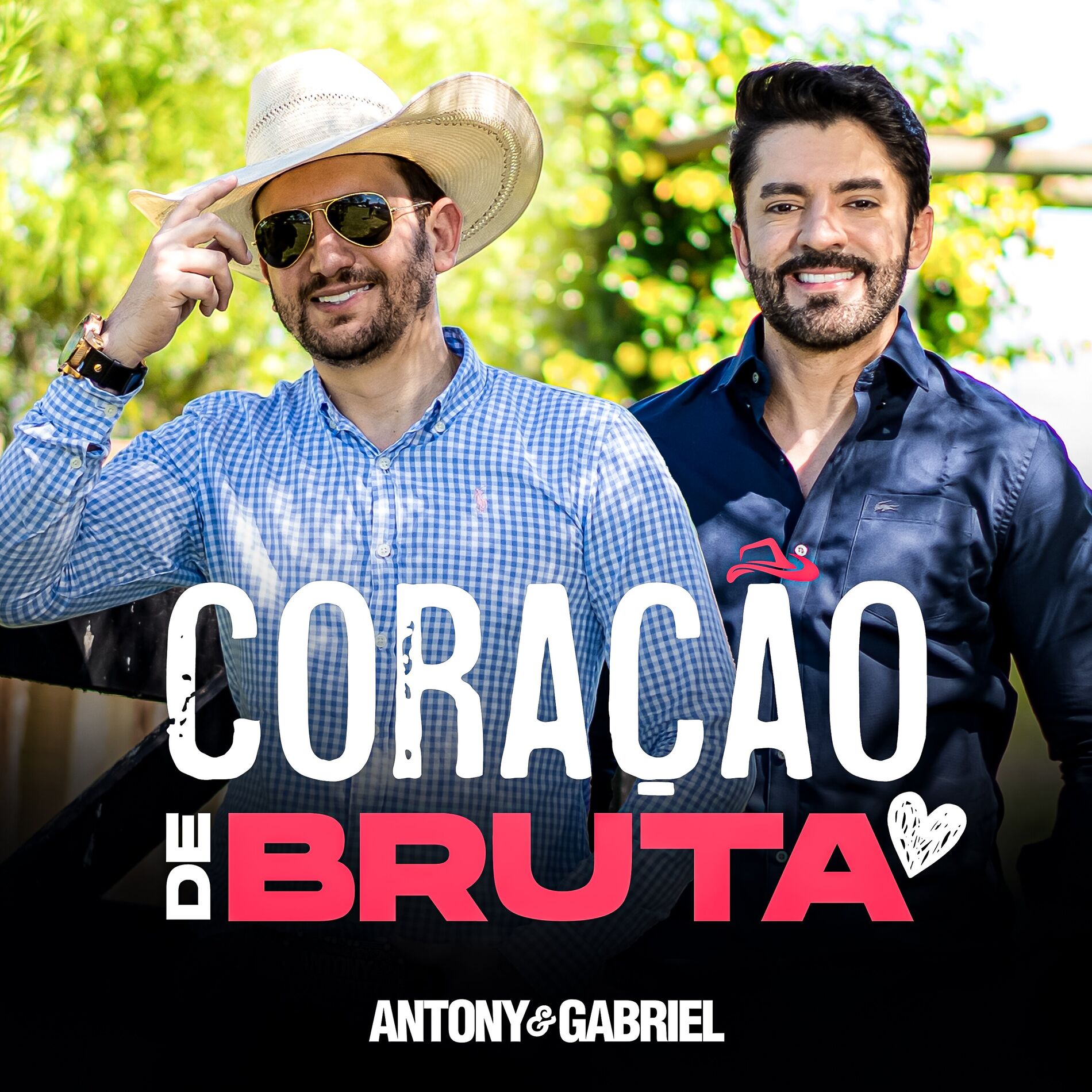 Album cover of Coração de Bruta