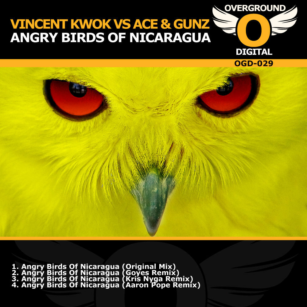 Picture of Angry birds of Nicaragua