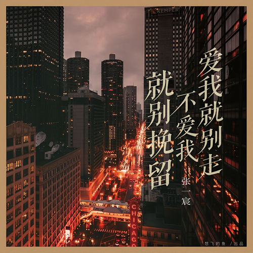 爱我就别走 不爱我就别挽留(DJheap九天版) (Remix)
