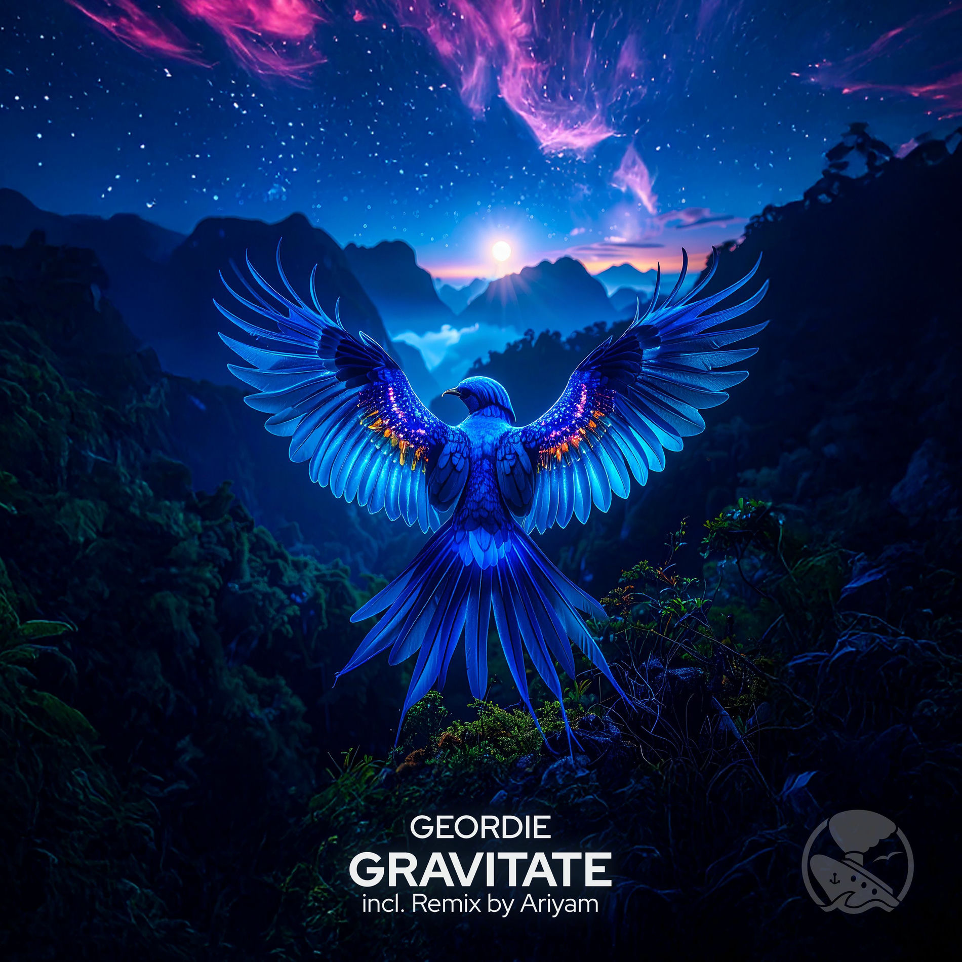 Album cover of Gravitate