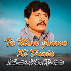 Cover of Tu Mare Janoon Ki Dunia