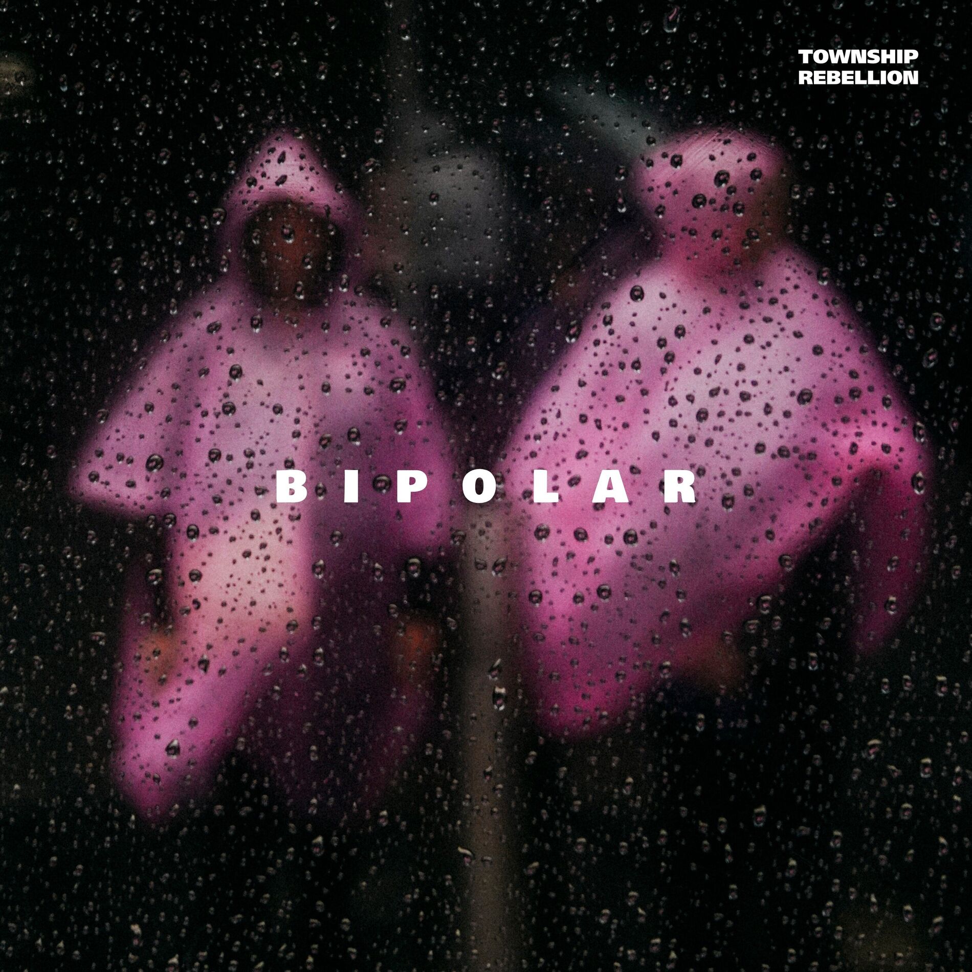 Album cover of Bipolar