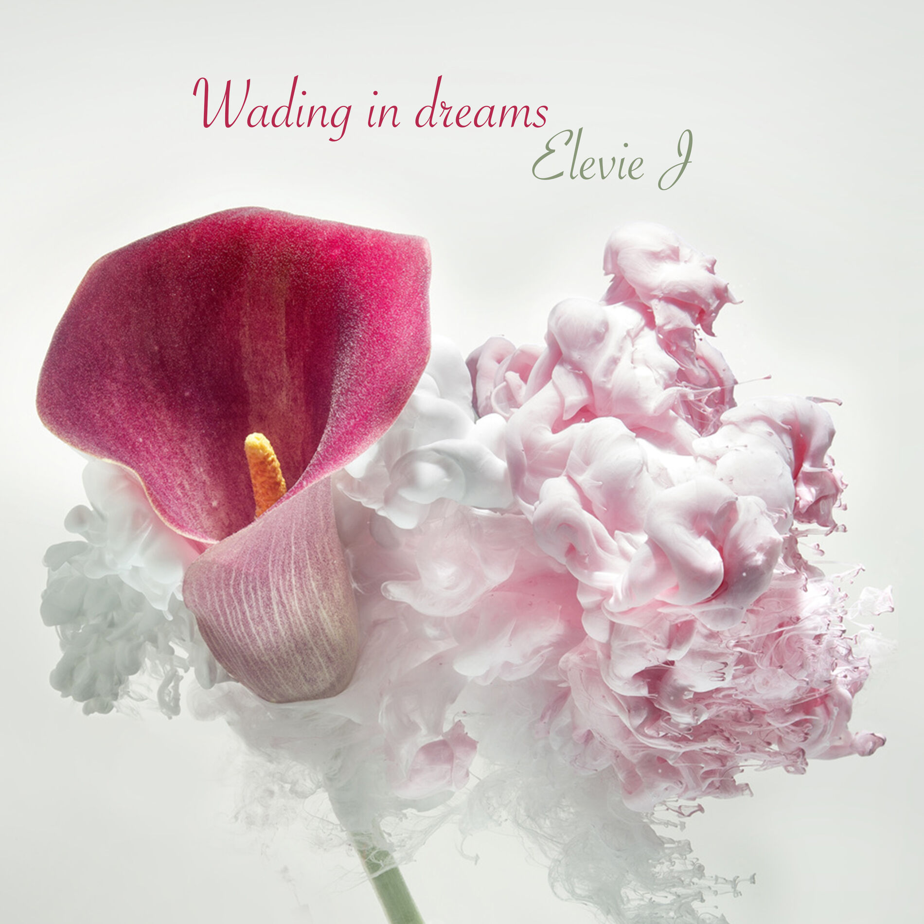 Album cover of Wading in dreams