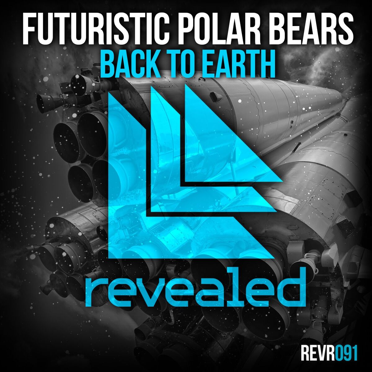 Album cover of Back To Earth