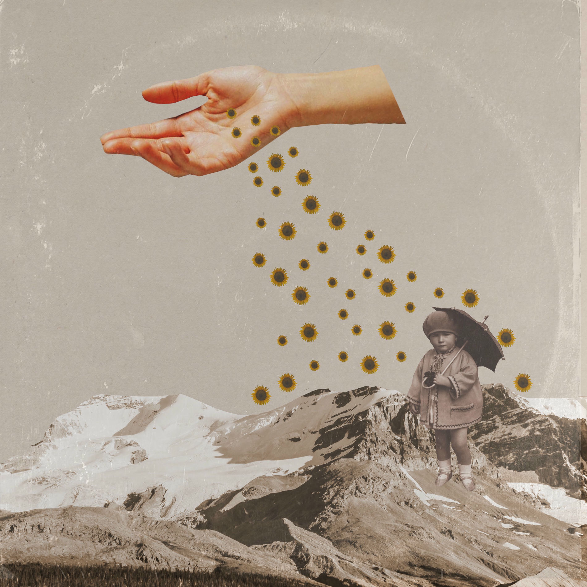 Album cover of Summer Rain