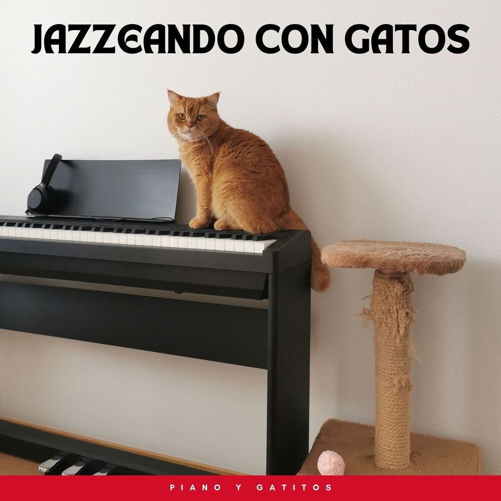 Picture of Piano Y Gatitos: Jazzeando Con Gatos
