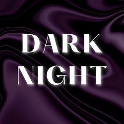 Cover of Dark Night