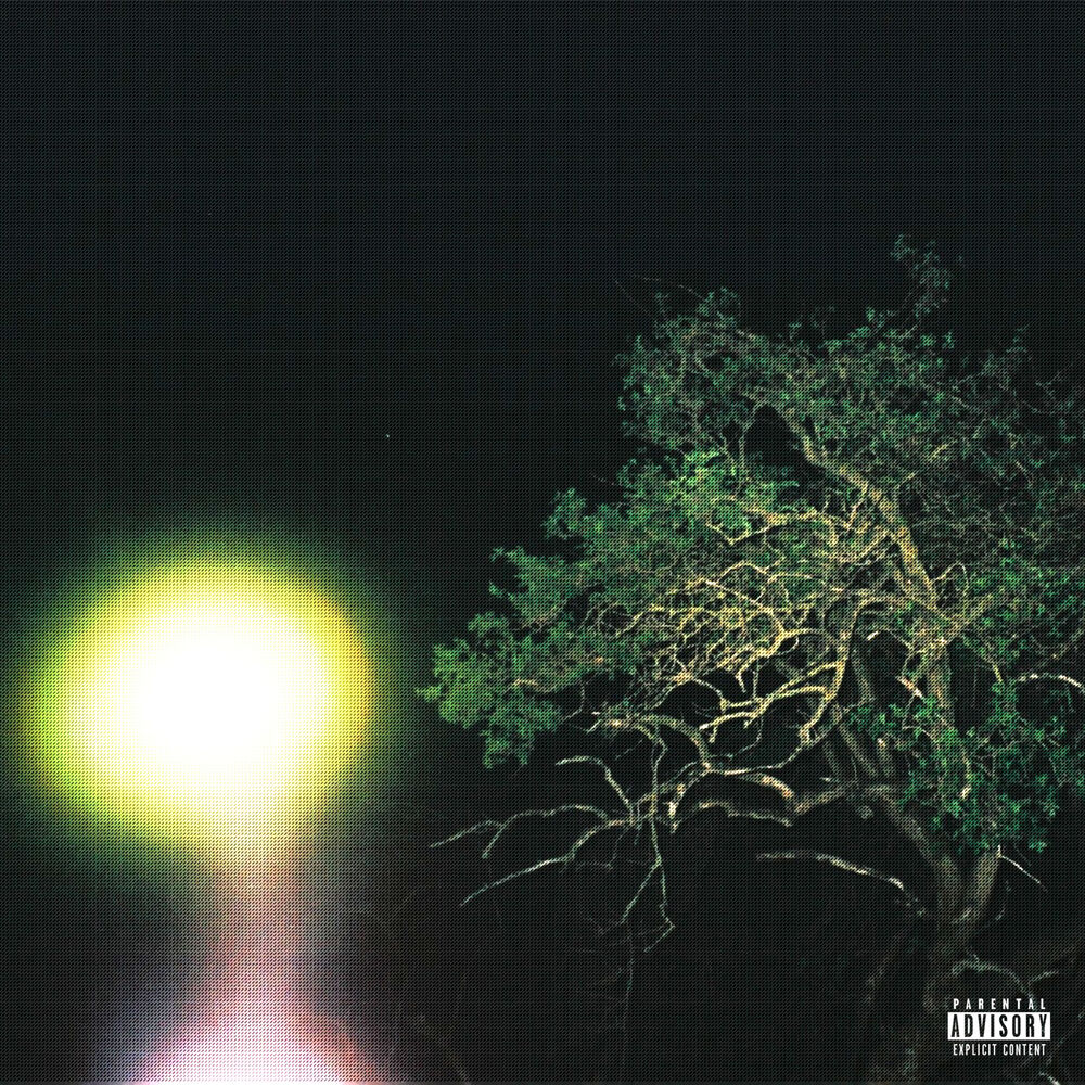 Picture of Altered States