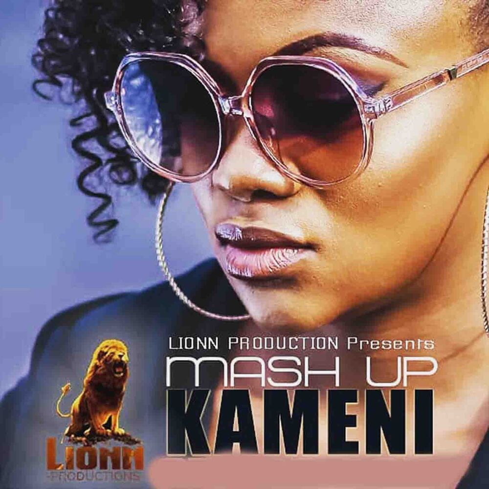 Picture of Mash Up