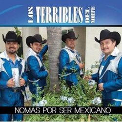 Cover of Nomas Por Ser Mexicano