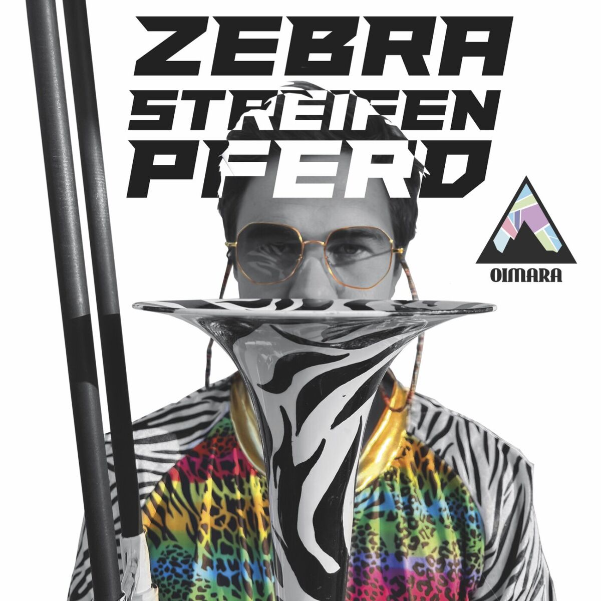 Album cover of Zebrastreifenpferd