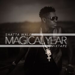 Cover of Magical Year Mixtape