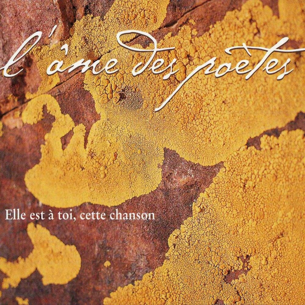 Picture of Elle est à toi, cette chanson