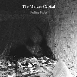 Cover of Feeling Fades (Single Mix)