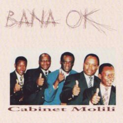 Cover of Cabinet molili