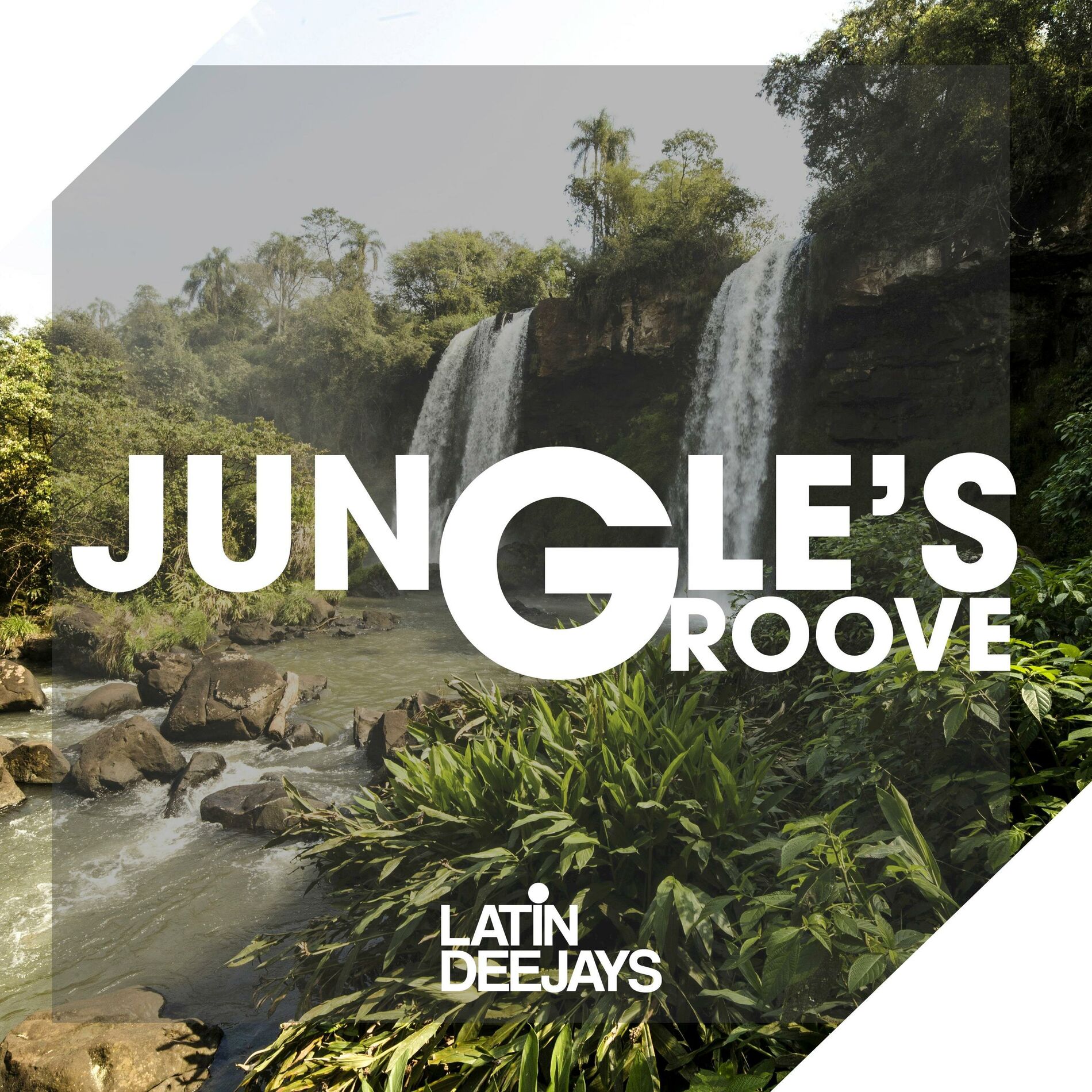 Album cover of Jungle's Groove