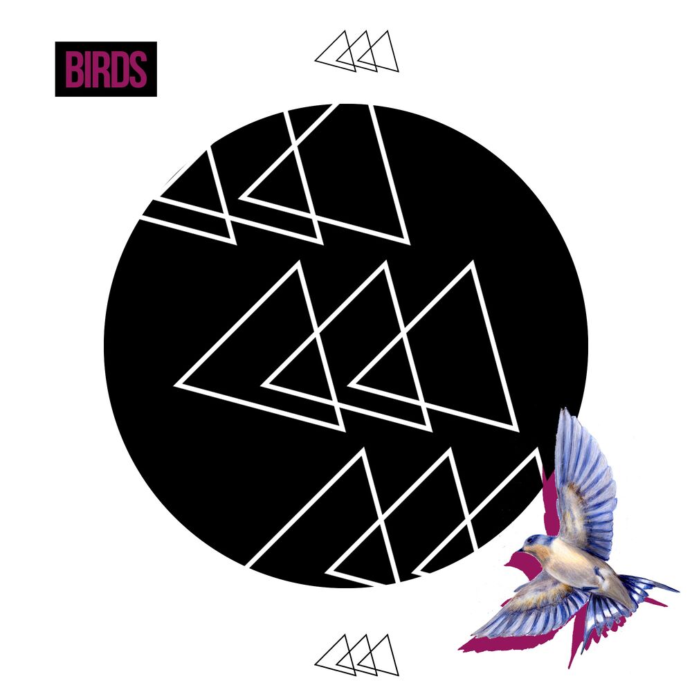 Picture of Birds
