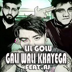 Cover of Gaali Wali Khayega
