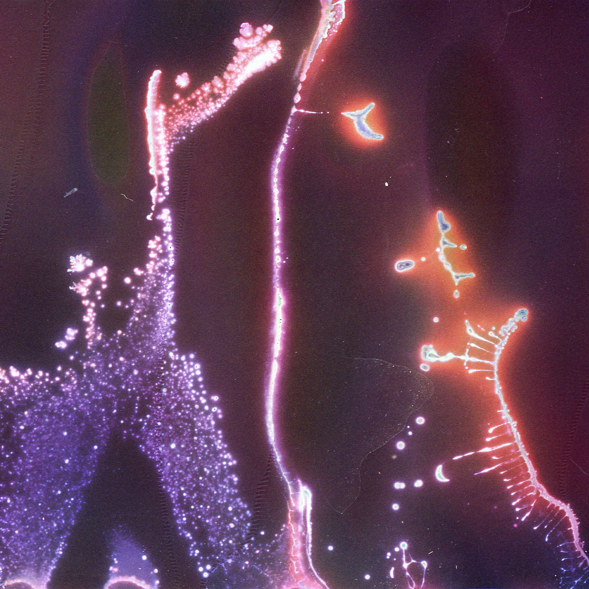 Album cover of Strings Forever Change