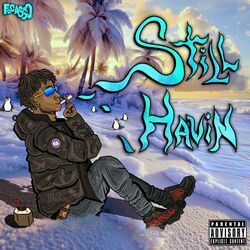 Cover of Still Havin