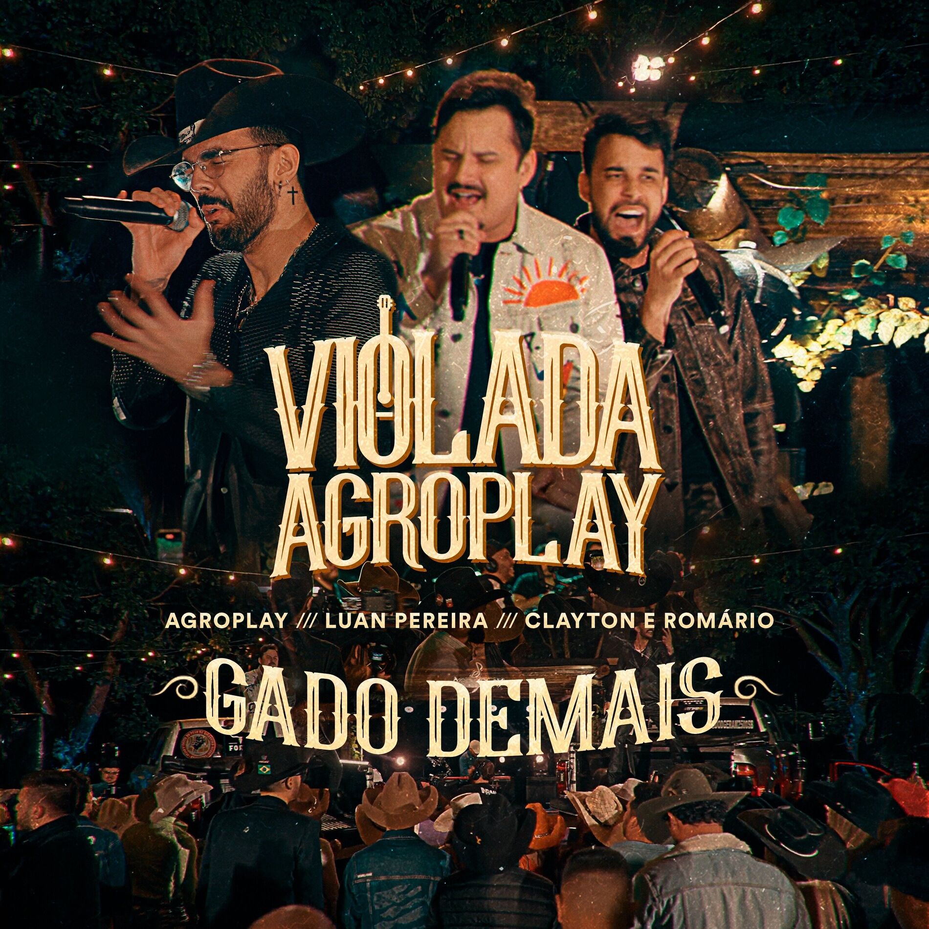 Album cover of Gado Demais
