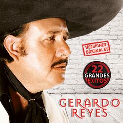 Cover of 22 Grandes Exitos