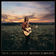Breaking Every Heart In Texas by Troy Cartwright album cover