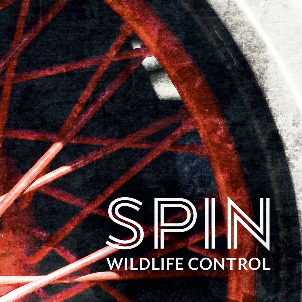 Album cover of Spin