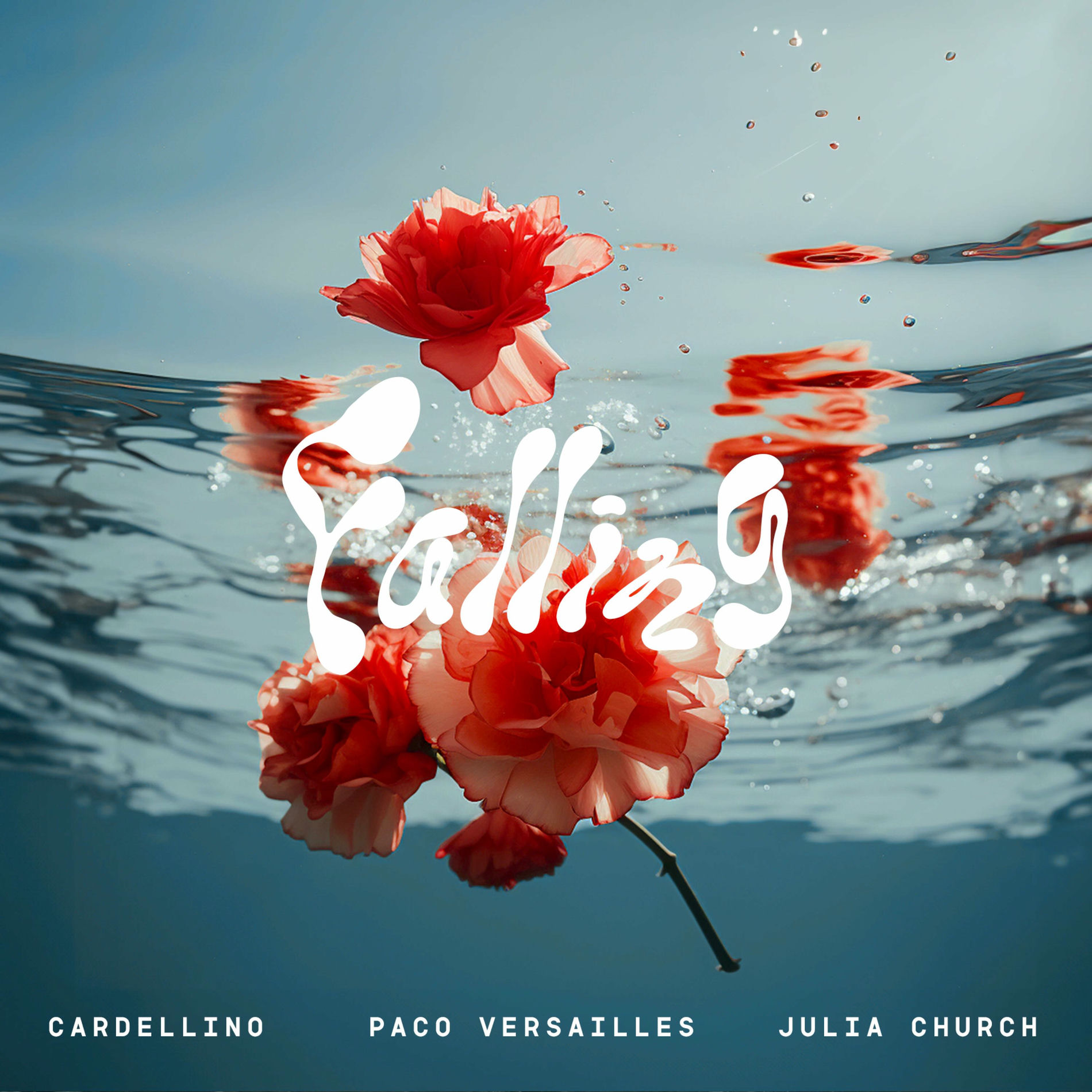 Album cover of Falling