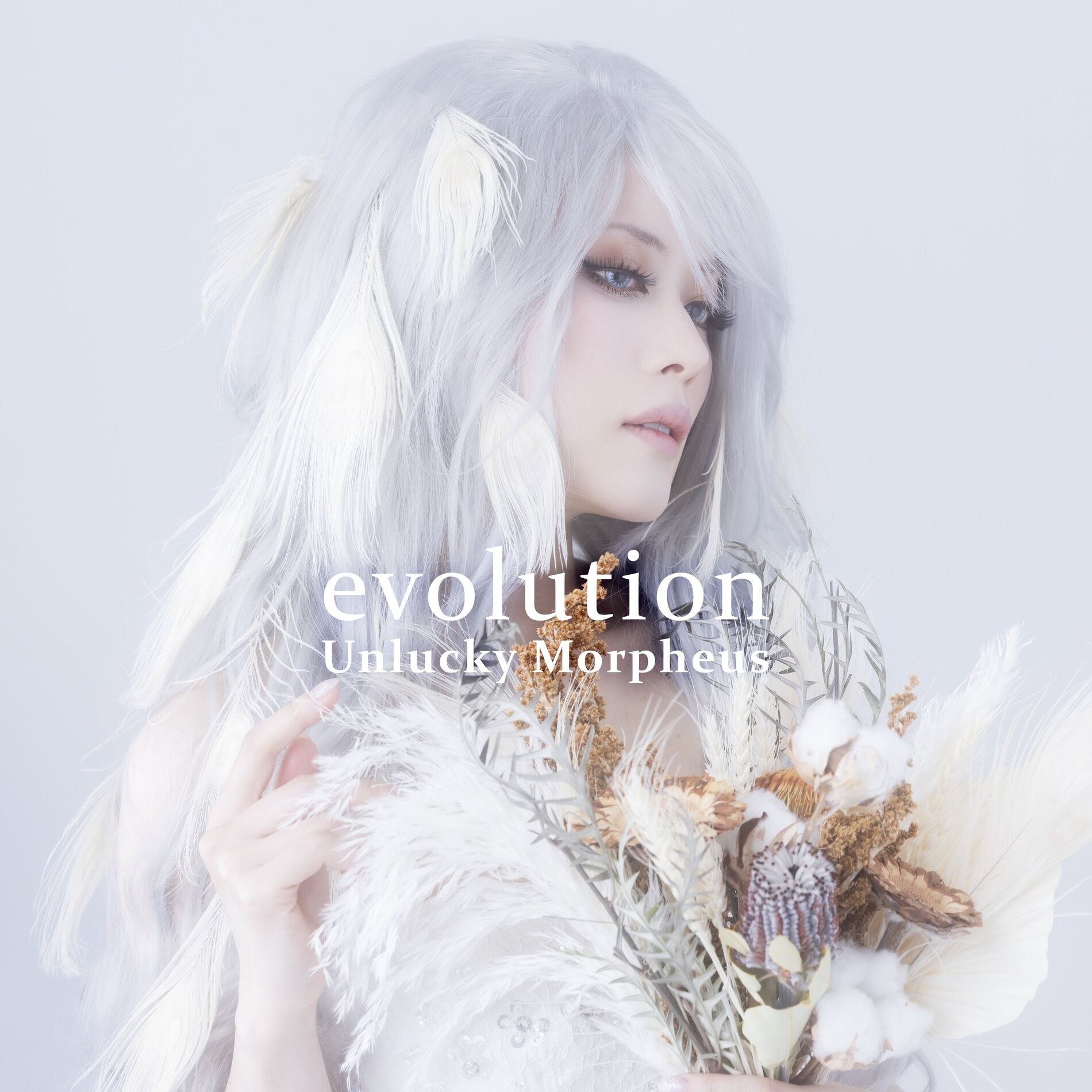 Album cover of Amaryllis