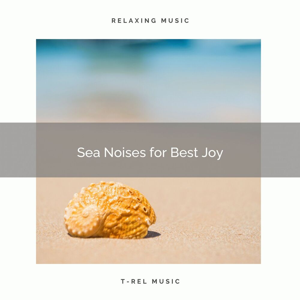 Picture of 2020 Best: Sea Noises for Best Joy