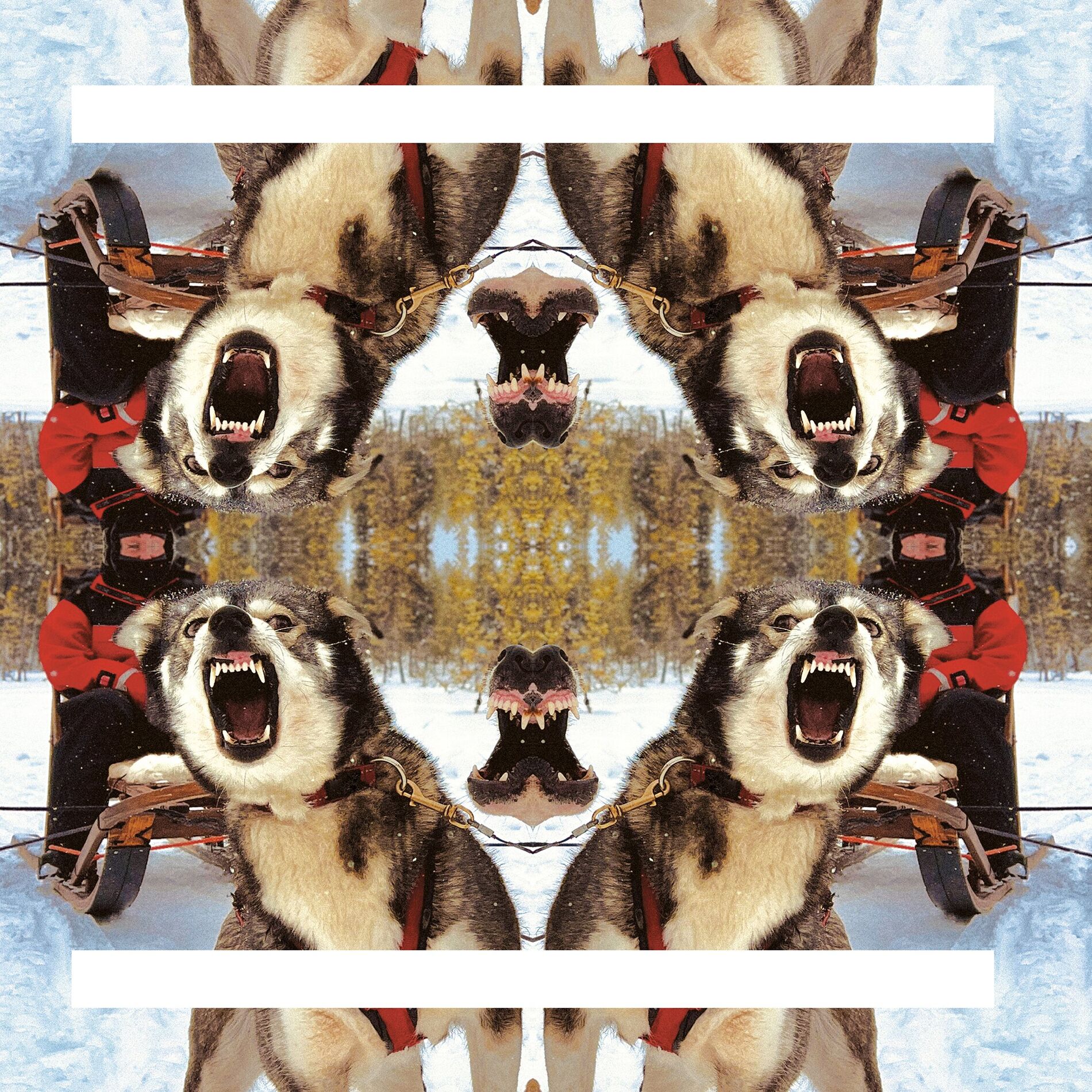 Album cover of ii