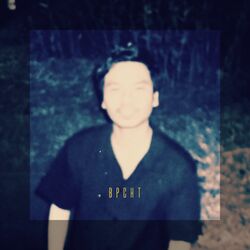 Cover of Bpcht