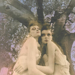 Cover of Magus