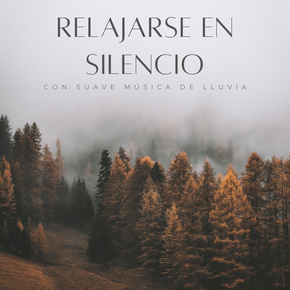 Picture of Relajarse En Silencio Con Suave Música De Lluvia