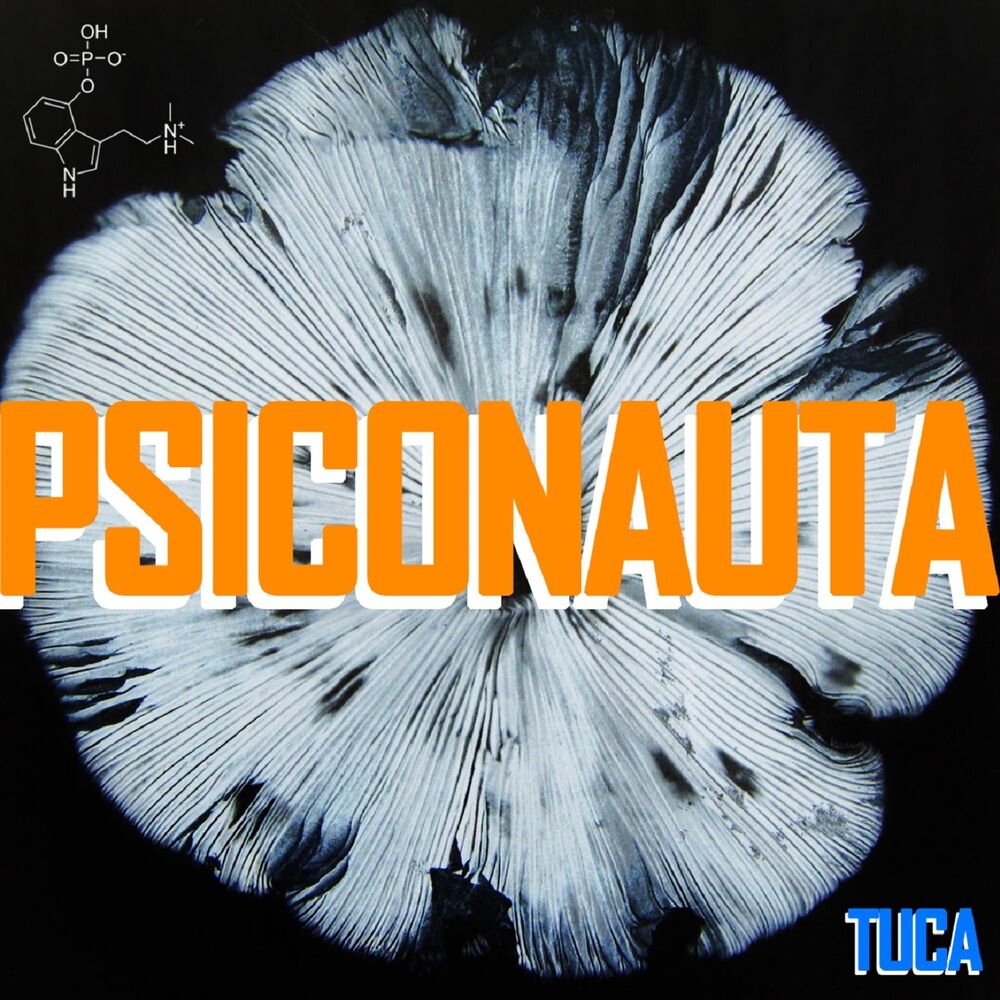 Picture of Psiconauta