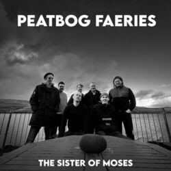Cover of The Sister of Moses