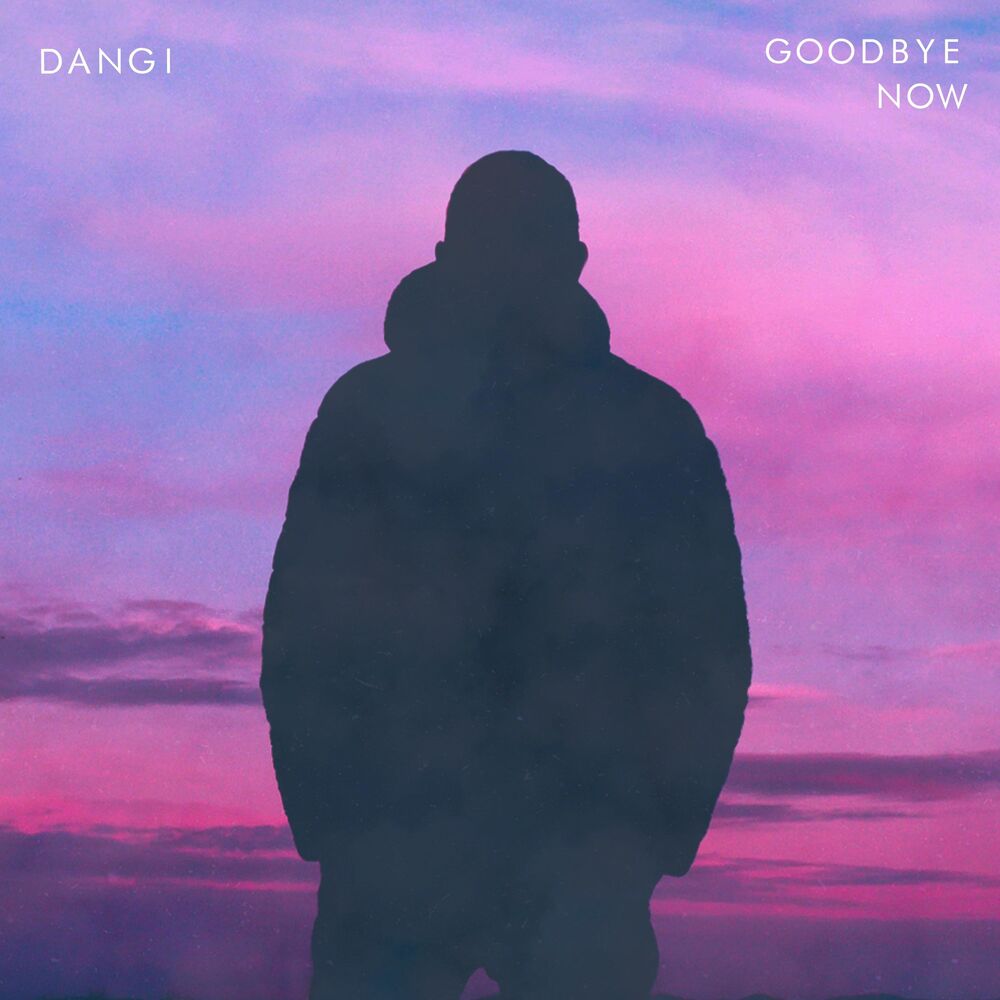 Picture of Goodbye Now